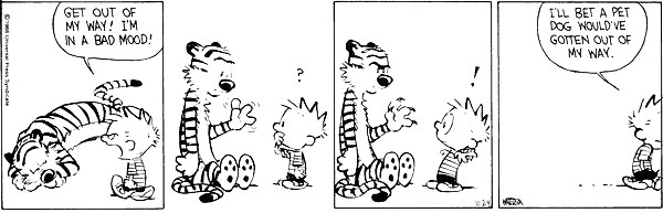 ch100107.gif