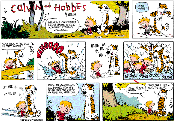 calvinandhobbes