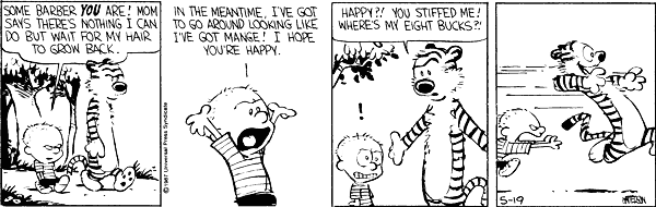 calvinandhobbes