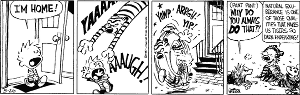 calvinandhobbes