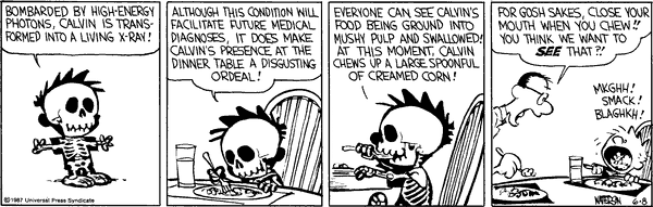 calvinandhobbes