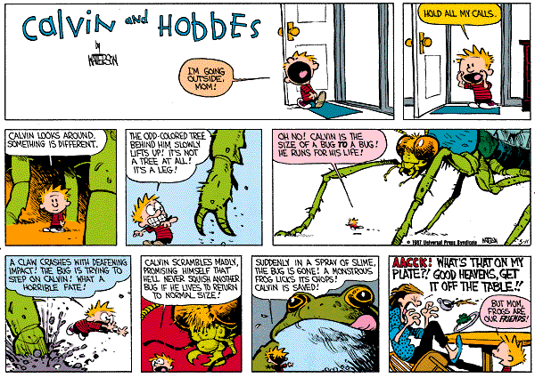 calvinandhobbes