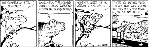 calvinandhobbes