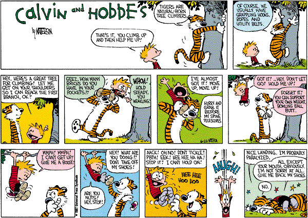 calvinandhobbes