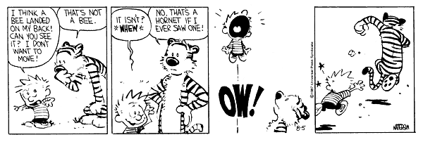 calvinandhobbes