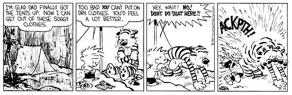 calvinandhobbes