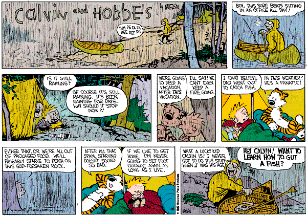 calvinandhobbes