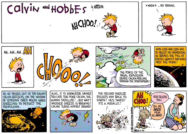 calvinandhobbes