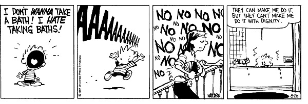 calvinandhobbes