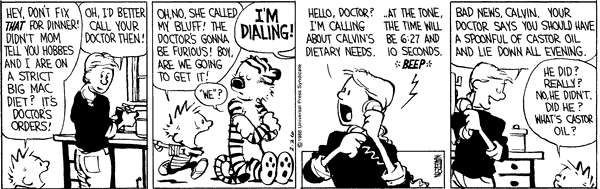 calvinandhobbes