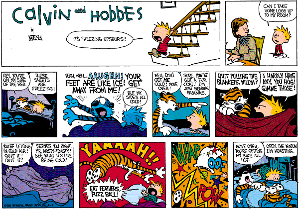 calvinandhobbes