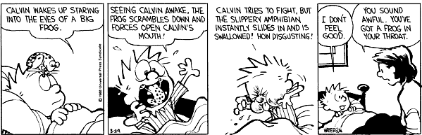 calvinandhobbes