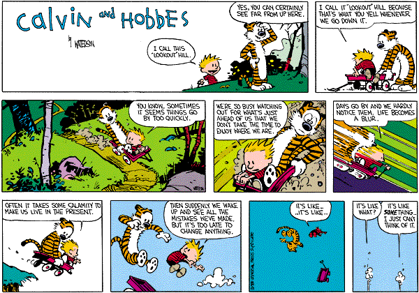 calvinandhobbes
