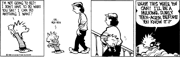 calvinandhobbes