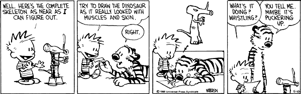 calvinandhobbes