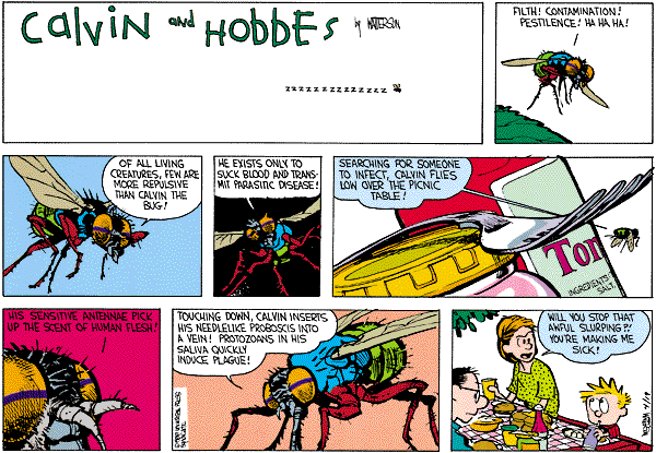 calvinandhobbes