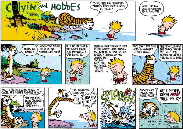 calvinandhobbes