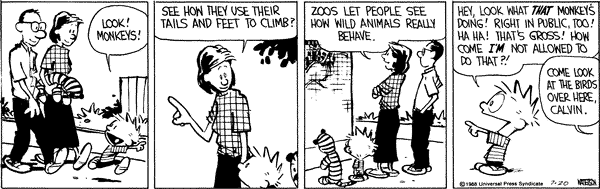calvinandhobbes