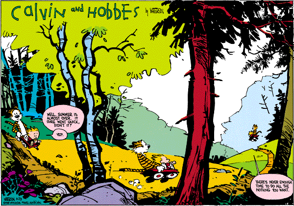 calvinandhobbes