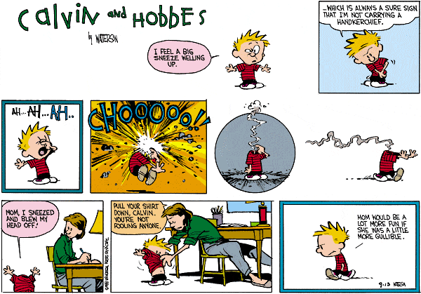 calvinandhobbes