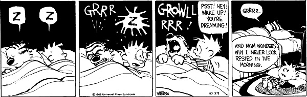 calvinandhobbes