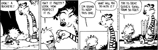 calvinandhobbes