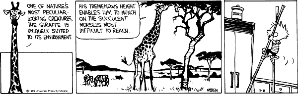 calvinandhobbes