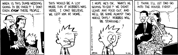 calvinandhobbes