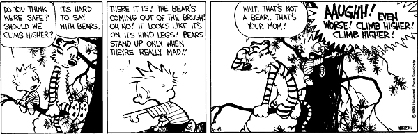 calvinandhobbes