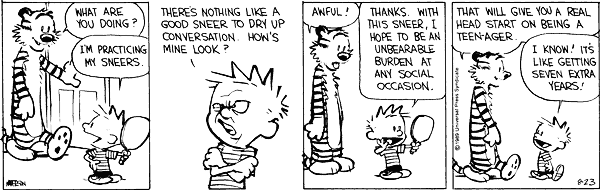 calvinandhobbes