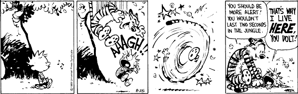 calvinandhobbes