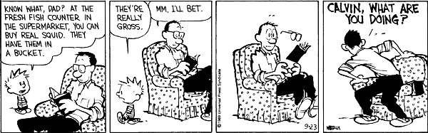 calvinandhobbes