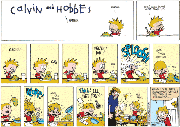 calvinandhobbes