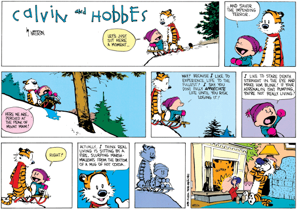 calvinandhobbes