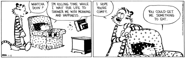 calvinandhobbes
