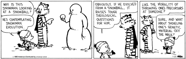 calvinandhobbes