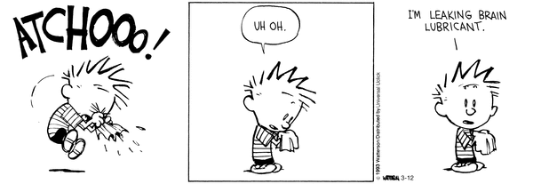 calvinandhobbes
