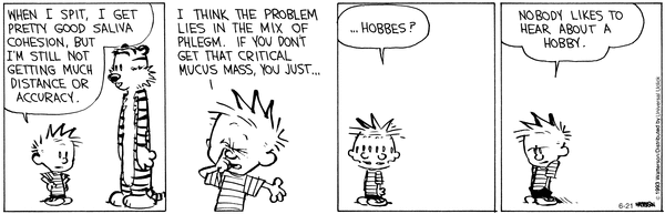 calvinandhobbes