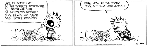 calvinandhobbes