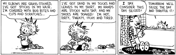 calvinandhobbes