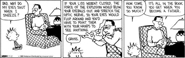 calvinandhobbes