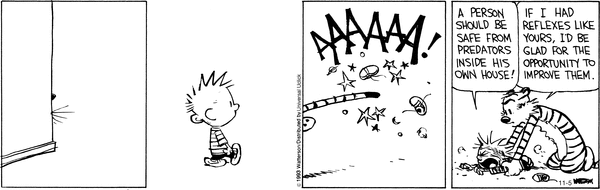 calvinandhobbes