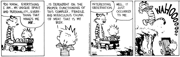 calvinandhobbes