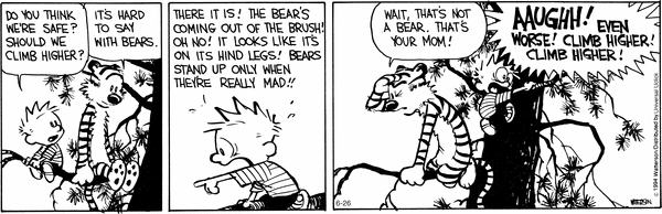 calvinandhobbes