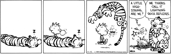 calvinandhobbes