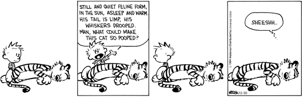 calvinandhobbes