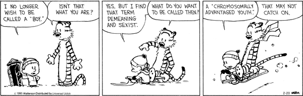 calvinandhobbes