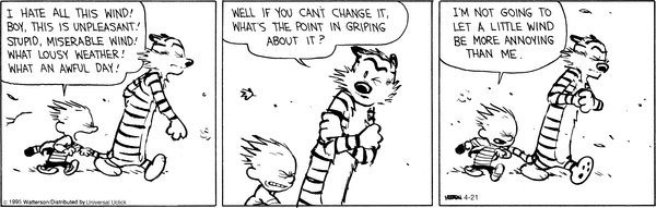 calvinandhobbes