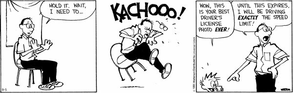 calvinandhobbes