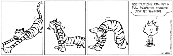 calvinandhobbes